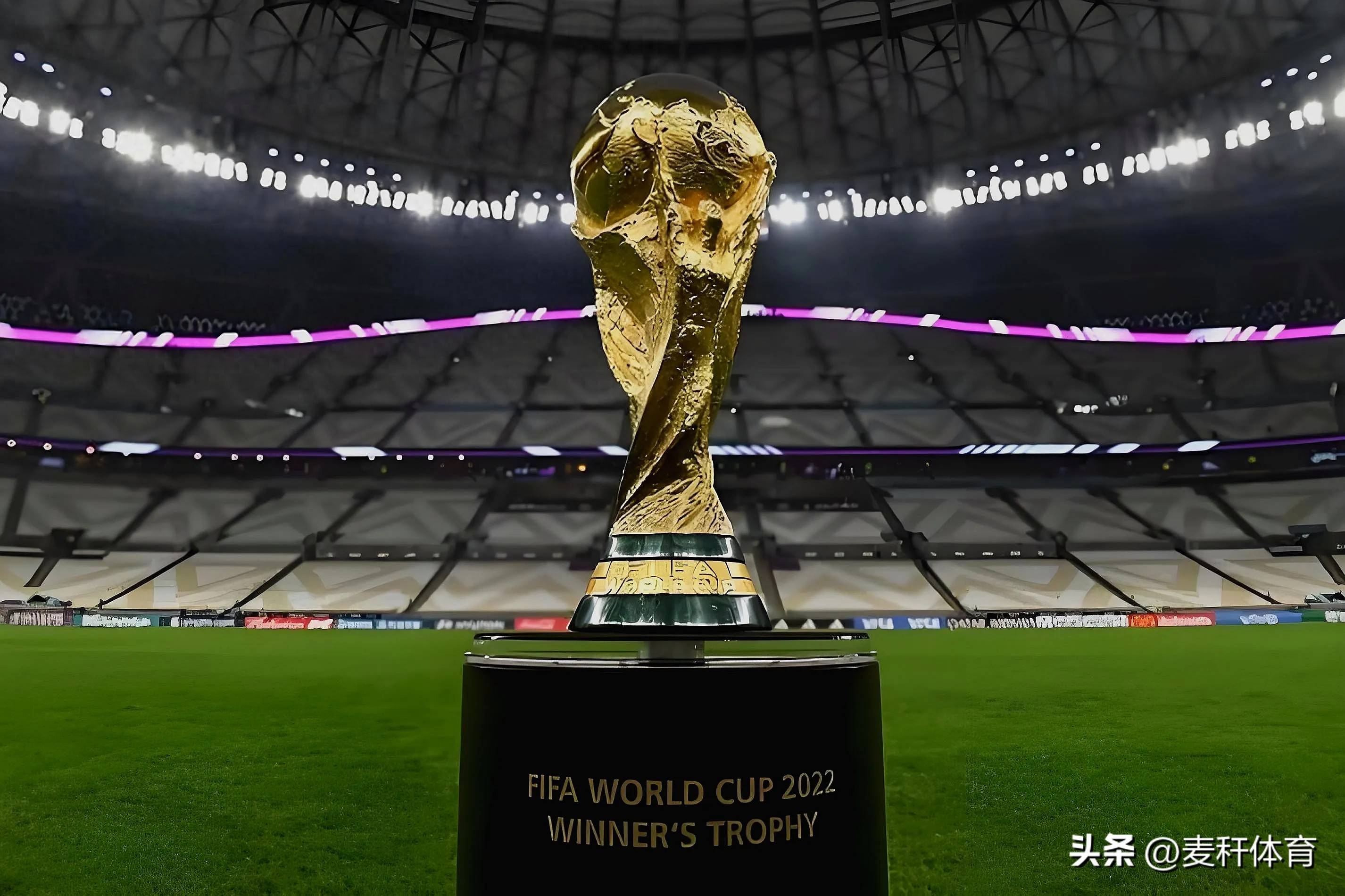 并非没有机 并非没有机